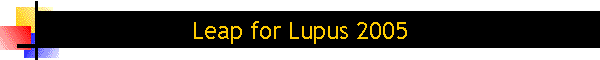 Leap for Lupus 2005